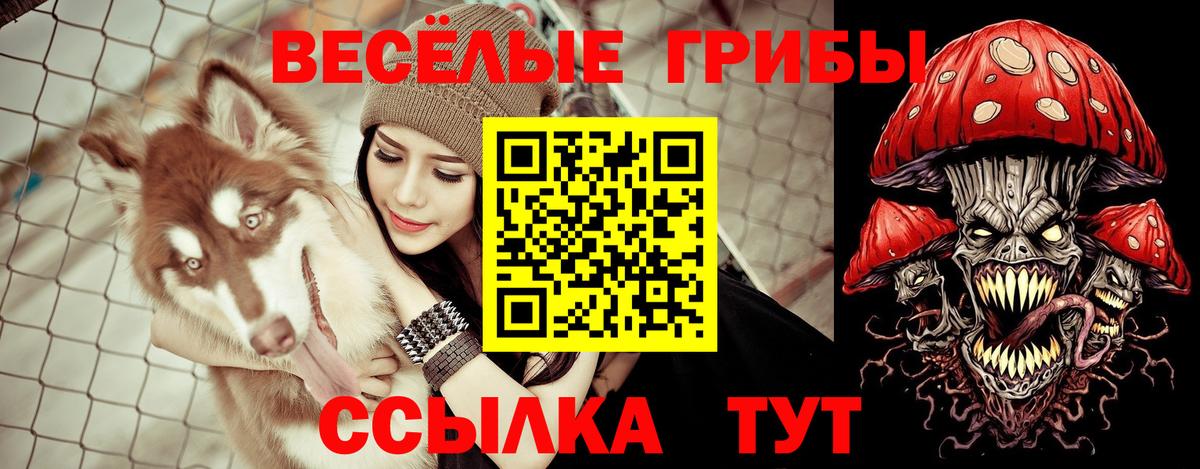 Псилоцибиновые грибы GOLDEN TEACHER Глазов
