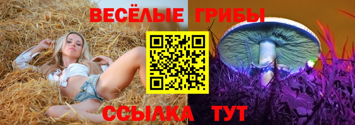 Галлюциногенные грибы Magic Shrooms  Вход с VPN  Глазов 